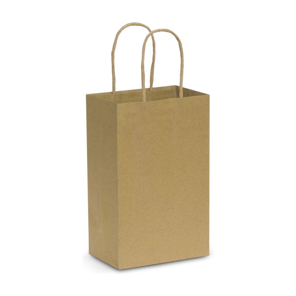 Paper Carry Bag - Small