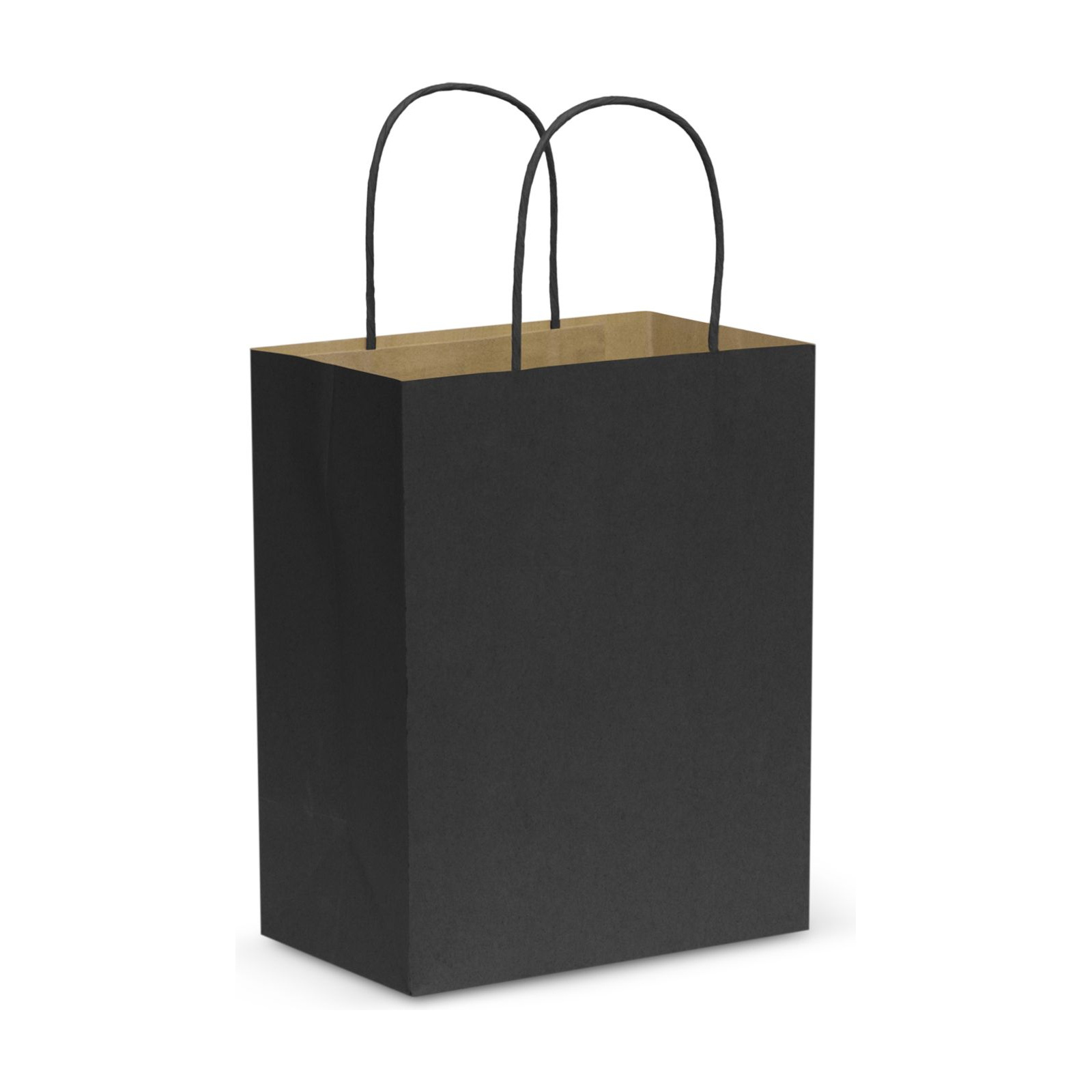 Paper Carry Bag - Medium