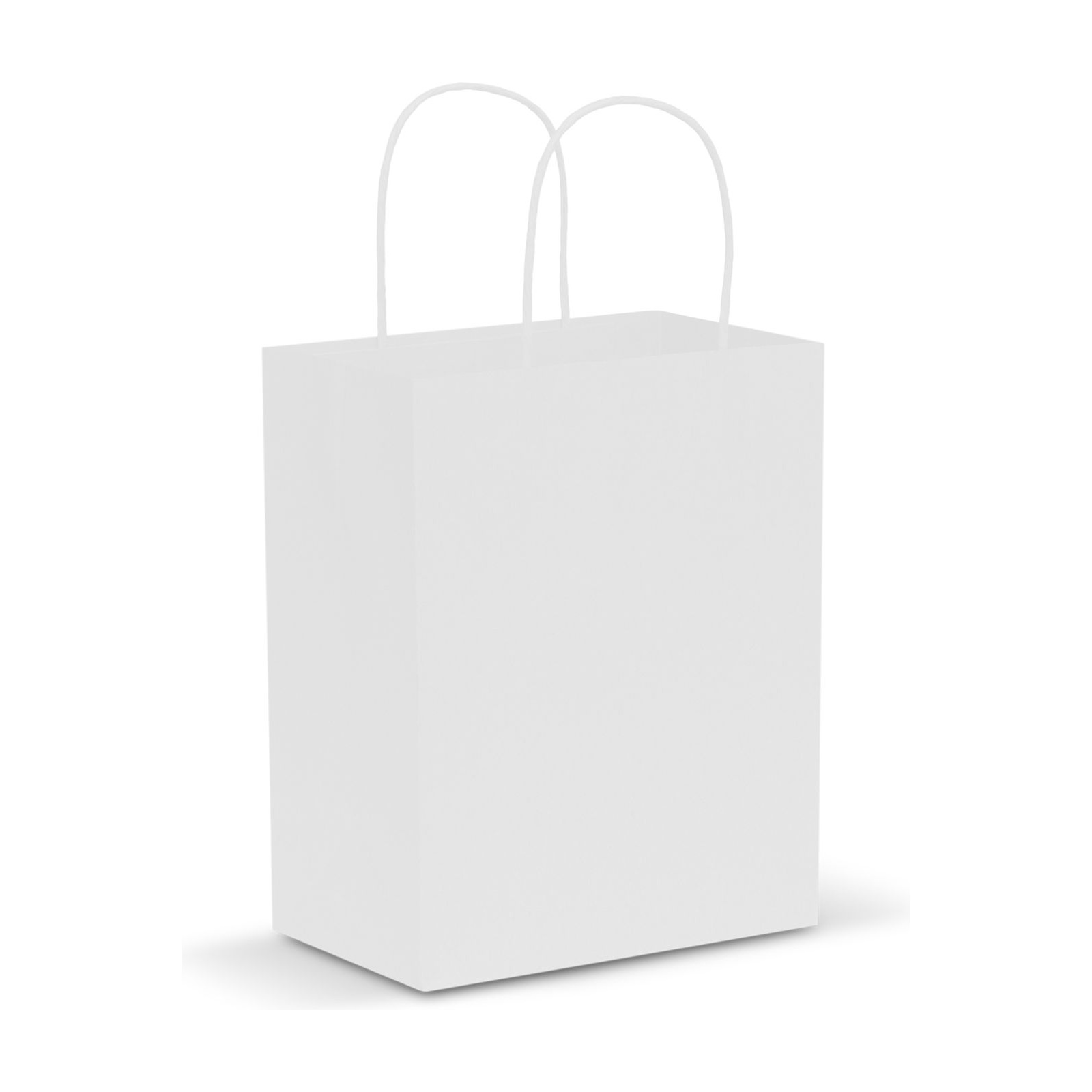 Paper Carry Bag - Medium