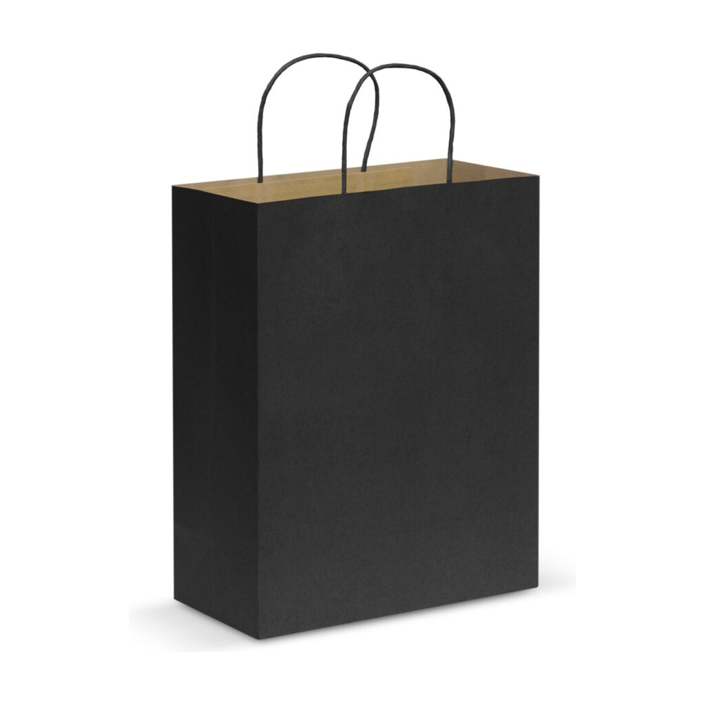 Paper Carry Bag - Large