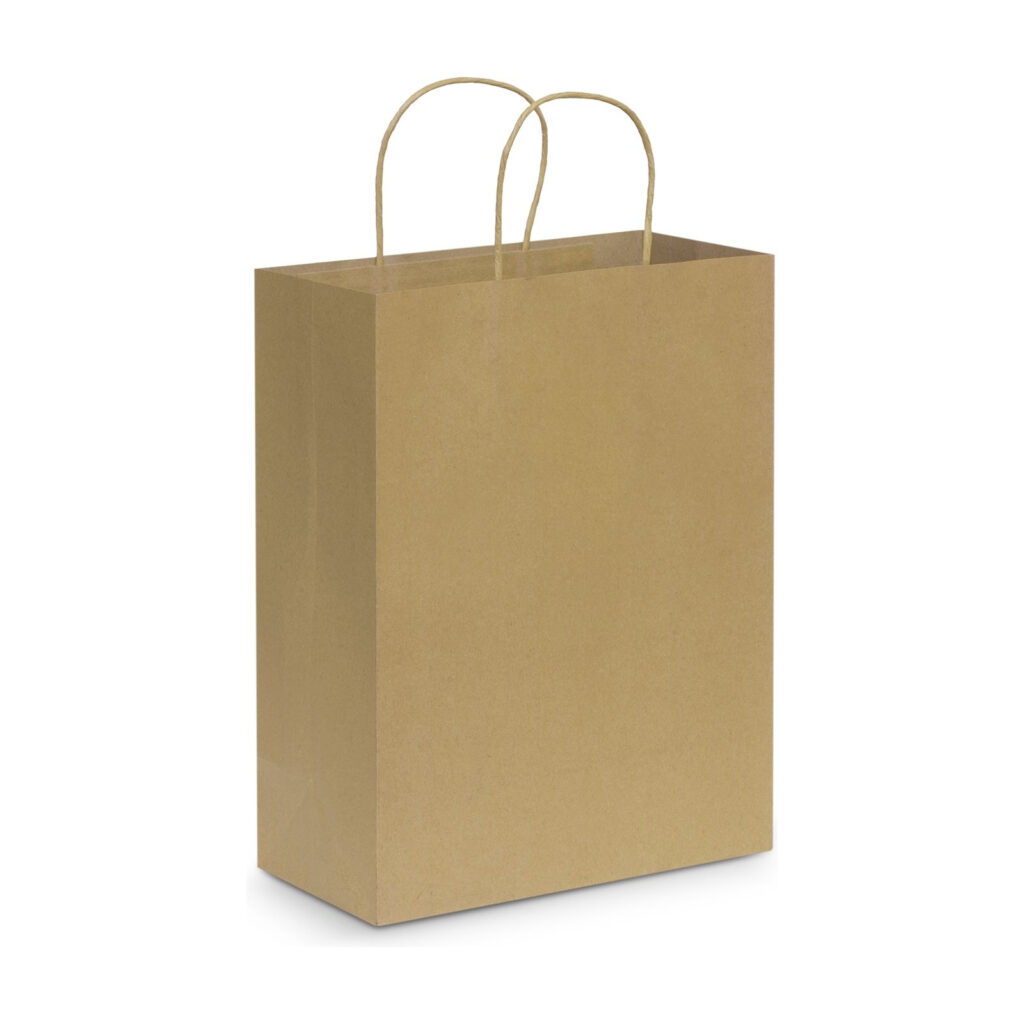 Paper Carry Bag - Large