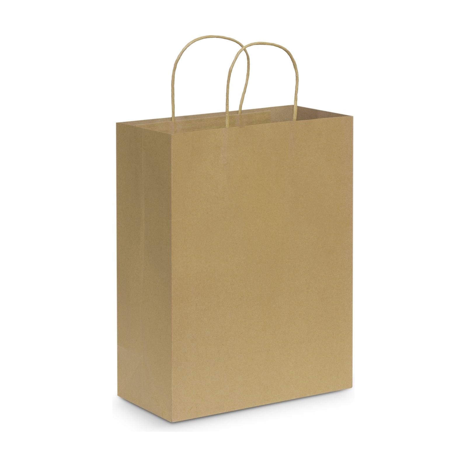 Paper Carry Bag - Large