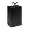 Laminated Carry Bag - Small thumbnail 2