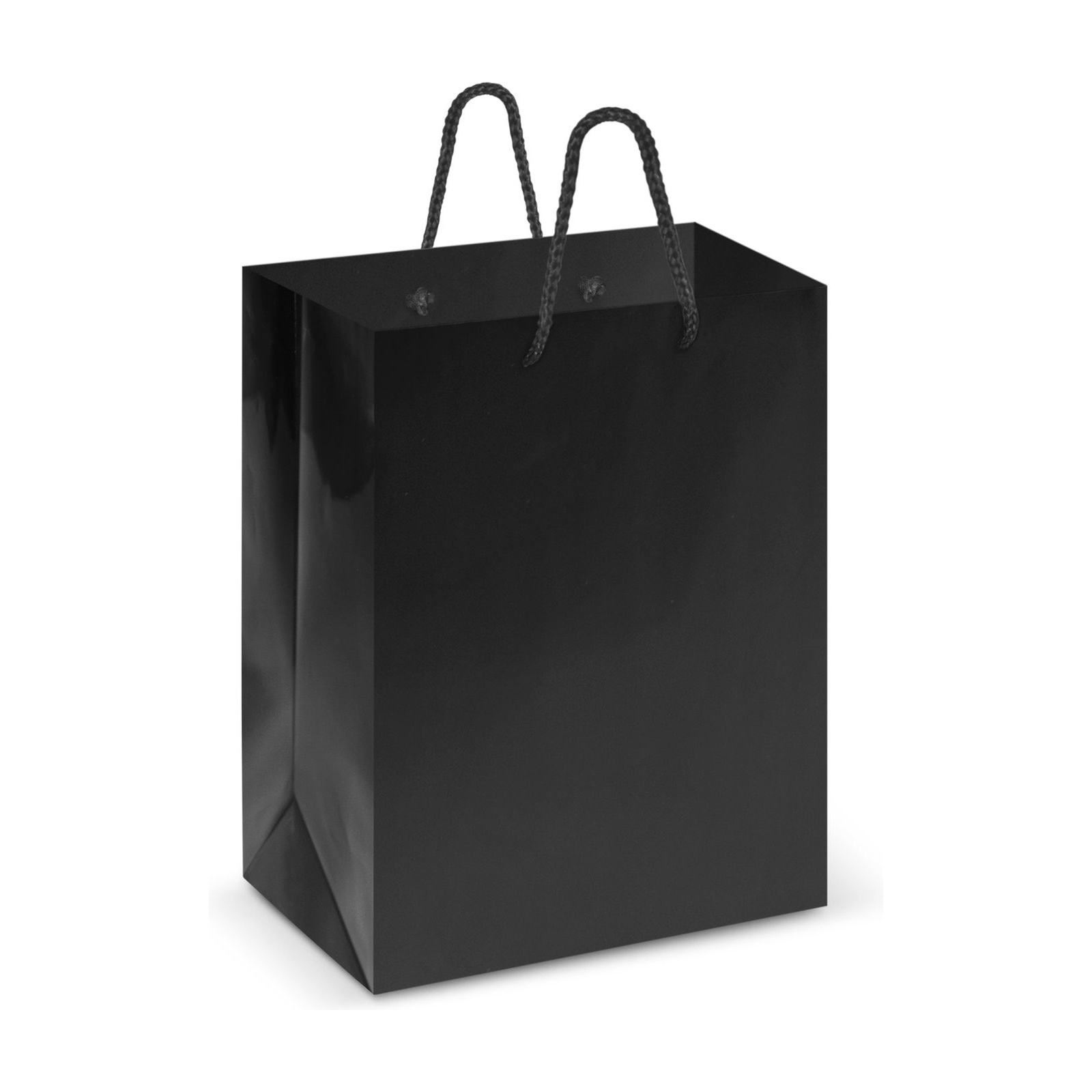 Laminated Carry Bag - Medium