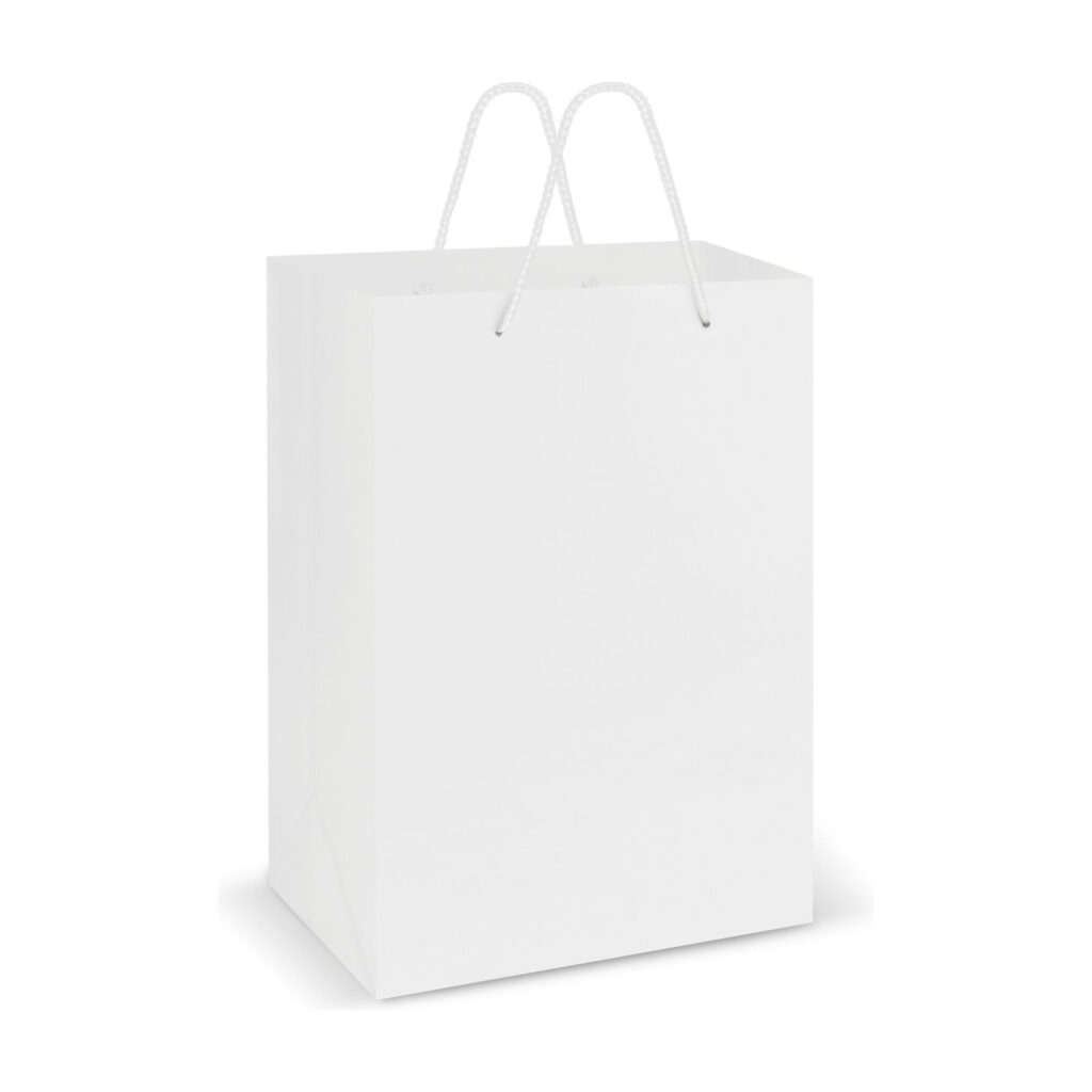 Laminated Carry Bag - Large