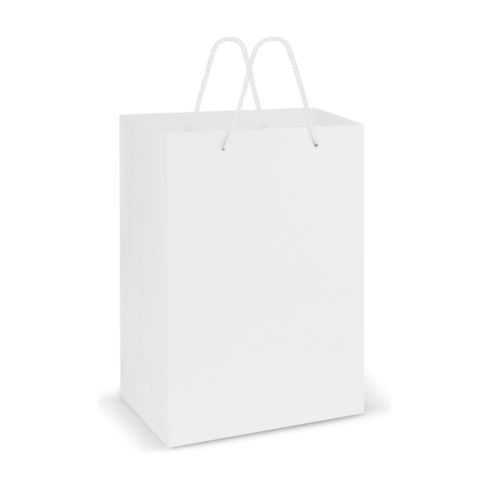 Laminated Carry Bag - Large