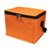 Alpine Cooler Bag thumbnail 7