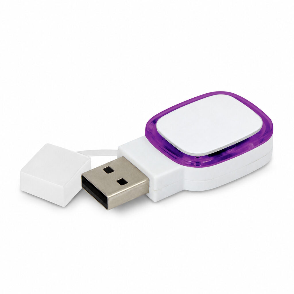 Zodiac 4GB Flash Drive